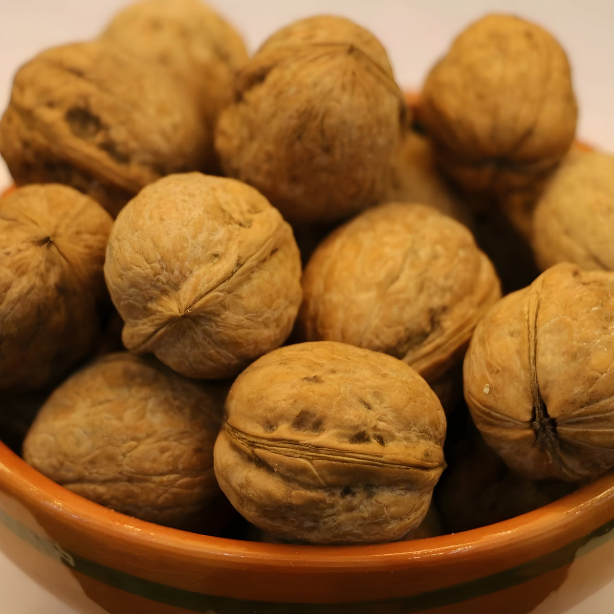 Kashmiri Organics brings you premium quality walnuts – (1 kg = 1500 PKR)